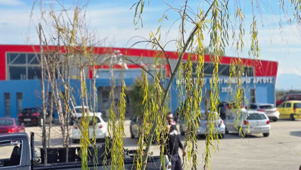 Δενδροφύτευση σε όλο το Άργος έχει ξεκινήσει και θα συνεχιστεί τις επόμενες ημέρες  σε όλο το Δήμο!