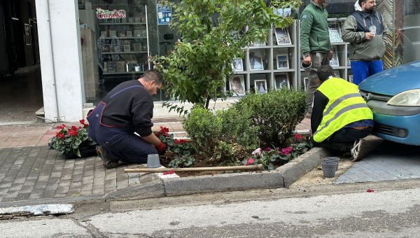 Άργος: Εργασίες Φύτευσης Παρτεριών σε κεντρικές οδούς, σε Πλατείες και σε κοινόχρηστους χώρους της πόλης.
