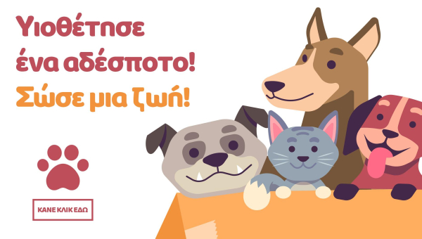 Με σύνθημα «Υιοθέτησε ένα αδεσποτάκι – ΥΠΕΥΘΥΝΑ», ο Δήμος Άργους – Μυκηνών τιμά τη σημερινή ημέρα